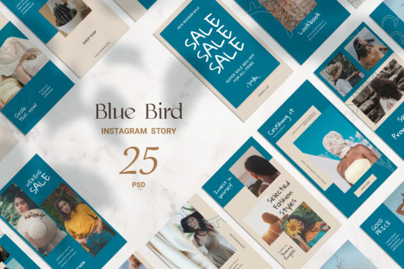 Blue Bird Instagram Story: A Practical Tool for Visual Workflow Integration