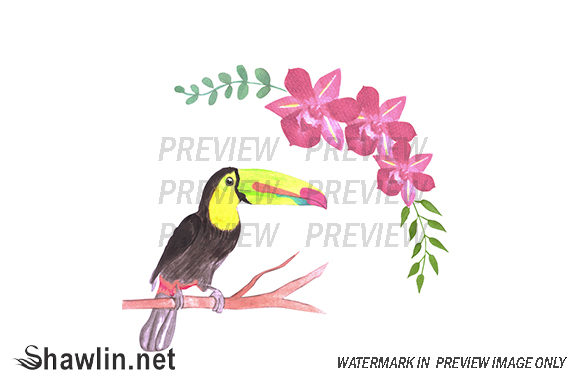 Toucan and Orchids Watercolor Design